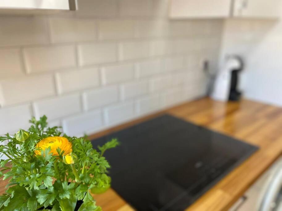 Apartamento Centrico-Parking Gratuito-Wifi Santander Luaran gambar